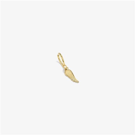Boucles d´oreilles Femme Radiant RH000256 Doré 1 Unité