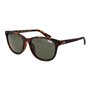 Lunettes de soleil Femme Superdry SDS-LIZZIE 55122