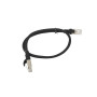 Câble Réseau Rigide UTP 6ème Catégorie Lanberg PCU6-20CC-0050-BK Noir 50 cm