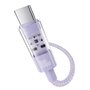 Câble USB-C vers USB-C Baseus P10373000511-01 Pourpre 2 m
