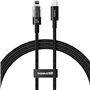 Câble USB-C vers Lightning Baseus P10373001111-00 Noir 1 m