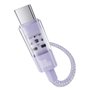 Câble USB A vers USB-C Baseus P10373002511-00 Pourpre 1 m