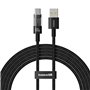 Câble USB A vers USB-C Baseus P10373002111-01 Noir 2 m