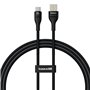 Câble USB A vers USB-C Baseus P10311804111-00 Noir 1 m
