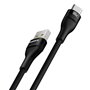 Câble USB A vers USB-C Baseus P10311804111-00 Noir 1 m