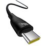 Câble USB A vers USB-C Baseus P10311804111-00 Noir 1 m