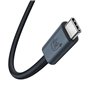 Câble USB-C vers USB-C Baseus P10311803111-00 Noir 1 m