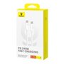 Câble USB-C vers USB-C Baseus P10365200211-02 Blanc 1 m