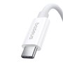 Câble USB-C vers USB-C Baseus P10365200211-02 Blanc 1 m