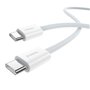 Câble USB-C vers USB-C Baseus P10365200211-00 Blanc 1 m