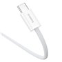 Câble USB-C vers USB-C Baseus P10365200211-01 Blanc 2 m