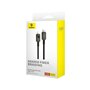 Câble USB-C vers Lightning Baseus P10355803111-00 Noir 1 m