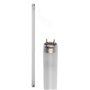 Osram Active DayWhite – Lampe (G13