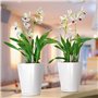 Lechuza Pot Deltini Premium Kit Complet Brillant Blanc