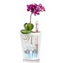 Lechuza Pot Deltini Premium Kit Complet Brillant Blanc