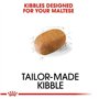 Royal Canin Maltese Adult | 500 g | Croquettes pour Maltais Adultes | pour Soutenir Le Pelage et la Digestion | pour Les Chiens 