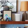 Sonos One Smart Speaker Lot de 2 Haut-parleurs Wi-FI intelligents avec Commande vocale Alexa et AirPlay – Deux Haut-parleurs mul