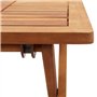 vidaXL Table Pliable de Jardin Table d'Appoint Table à Thé Table Basse Terrasse Patio Extérieur Arrière-Cour 40x40x40 cm Bois d'
