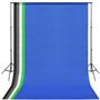vidaXL Kit de Studio Photo avec Éclairage et Toile de Fond Lumière de Photographie Système de Fond Kit de Support de Fond Sac de