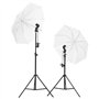 vidaXL Kit de Studio Photo avec Éclairage et Toile de Fond Lumière de Photographie Système de Fond Kit de Support de Fond Sac de