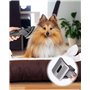Brosse Poils Chat et Chien pour Aspirateur Dyson V15 V11 V10 V8 V7,Avec 1 tuyau d'extension et Adaptateur,2 verrou de déclenchem