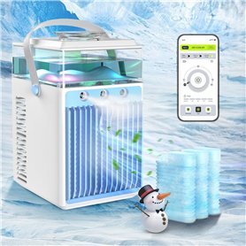 Refroidisseur d'air Portable