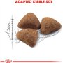 Royal Canin Indoor 27 Nourriture pour Chat 4 kg