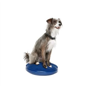 Ball Dynamics Int. LLC FitPAWS Disque d'Equilibre / Pack de Base pour Chien Bleu 36 cm