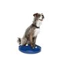 Ball Dynamics Int. LLC FitPAWS Disque d'Equilibre / Pack de Base pour Chien Bleu 36 cm