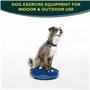 Ball Dynamics Int. LLC FitPAWS Disque d'Equilibre / Pack de Base pour Chien Bleu 36 cm