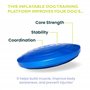 Ball Dynamics Int. LLC FitPAWS Disque d'Equilibre / Pack de Base pour Chien Bleu 36 cm