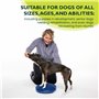 Ball Dynamics Int. LLC FitPAWS Disque d'Equilibre / Pack de Base pour Chien Bleu 36 cm