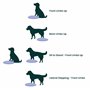 Ball Dynamics Int. LLC FitPAWS Disque d'Equilibre / Pack de Base pour Chien Bleu 36 cm