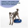 Ball Dynamics Int. LLC FitPAWS Disque d'Equilibre / Pack de Base pour Chien Bleu 36 cm