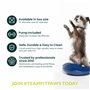 Ball Dynamics Int. LLC FitPAWS Disque d'Equilibre / Pack de Base pour Chien Bleu 36 cm