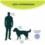 Ball Dynamics Int. LLC FitPAWS Disque d'Equilibre / Pack de Base pour Chien Bleu 36 cm