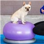 DOG Copenhagen FITPAWS Traxdonut Accessoire Education pour Chien
