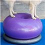 DOG Copenhagen FITPAWS Traxdonut Accessoire Education pour Chien