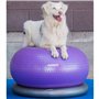 DOG Copenhagen FITPAWS Traxdonut Accessoire Education pour Chien