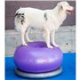 DOG Copenhagen FITPAWS Traxdonut Accessoire Education pour Chien