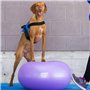 DOG Copenhagen FITPAWS Traxdonut Accessoire Education pour Chien