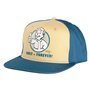 DPI Merchandising GmbH Vault Forever Casquette, Multicolore, Taille Unique Mixte