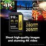 Lexar SDXC Professional 512GB BL 1800x UHS-II V60 gold (LSD1800512G-BNNNG)