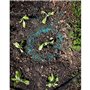 Evergreen NATUREN Anti-LIMACES 2KG-NLIMEX2