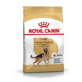 Pasteur Adulte Royal royal canin Allemand 24 11kg 11000 g