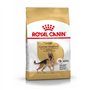 Pasteur Adulte Royal royal canin Allemand 24 11kg 11000 g