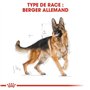 Pasteur Adulte Royal royal canin Allemand 24 11kg 11000 g