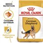 Pasteur Adulte Royal royal canin Allemand 24 11kg 11000 g