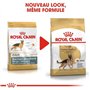 Pasteur Adulte Royal royal canin Allemand 24 11kg 11000 g