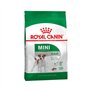 Royal Canin Mini Adult | 4 kg | Aliment Complet pour Chiens de Petites Races | Acides Gras oméga-3 pour la Peau et Le Pelage | T
